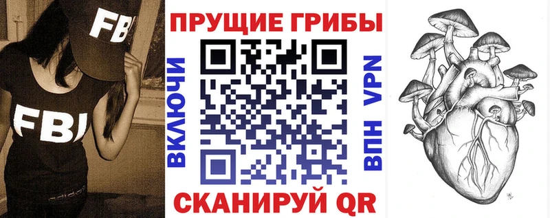 как найти закладки  Новочеркасск  Галлюциногенные грибы Psilocybe 